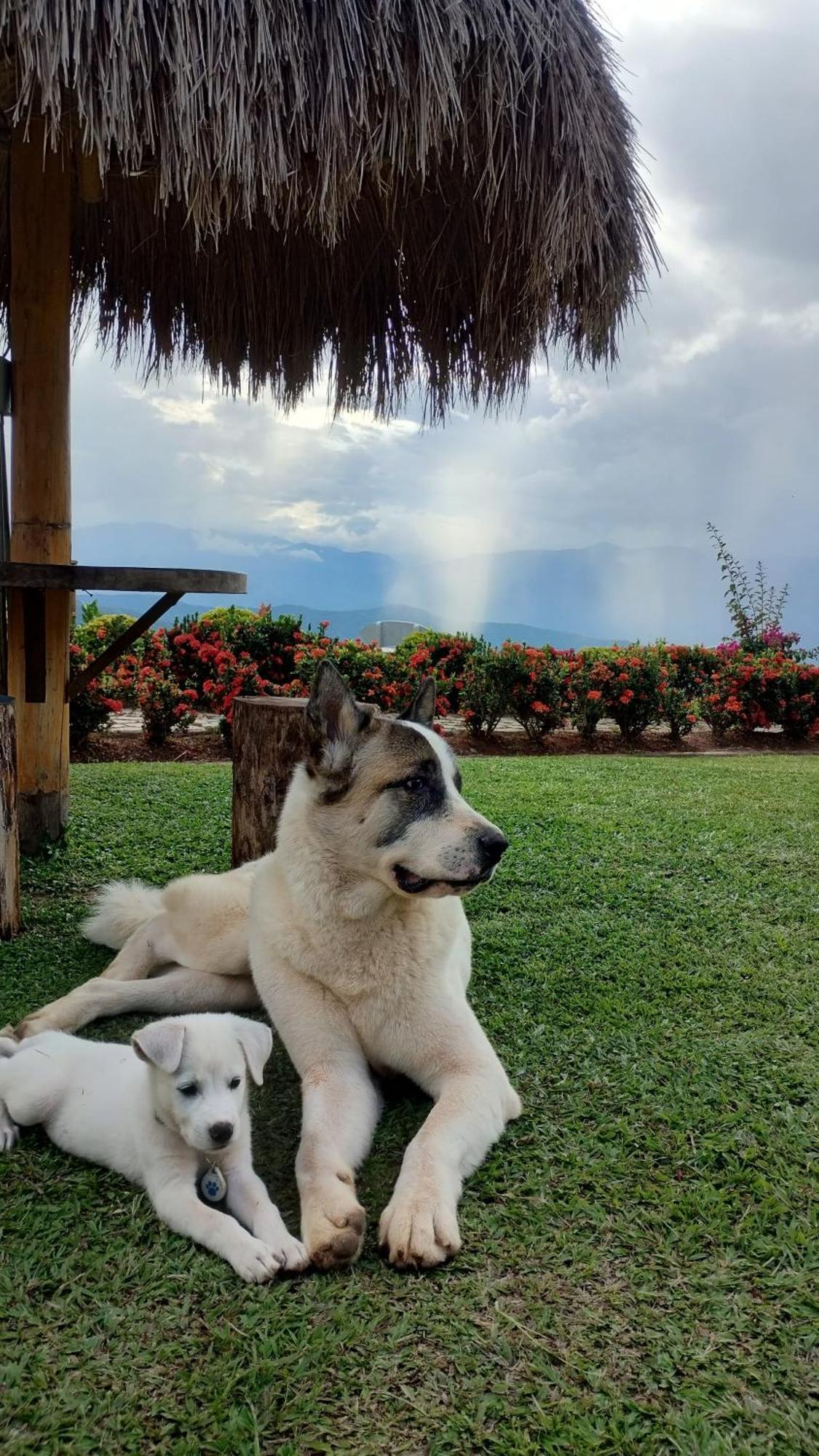 Nalua Glamping Y Hotel San Jerónimo Buitenkant foto